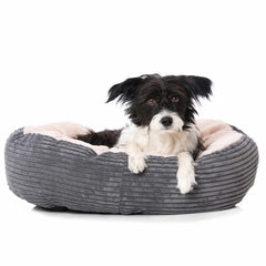 Collection image for: Dog bed