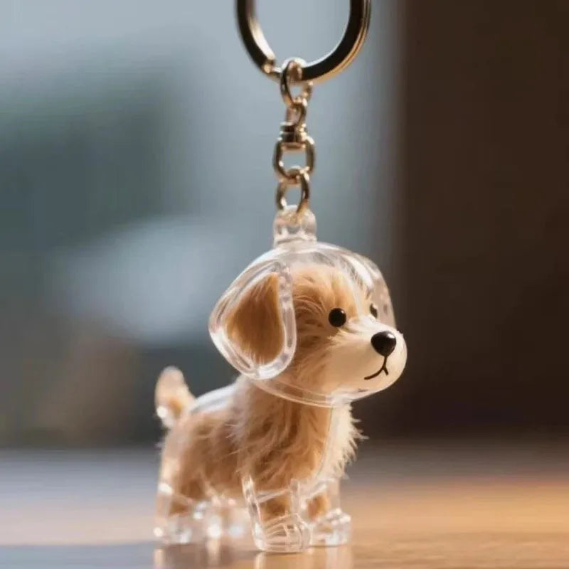 Creative Cat Hair Storage Capsule Transparent Cute Cat/Dog Charm Resin Pendant With Key Ring for Pet Lover DIY Memorial Keychain