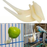 Pet Feeding Accessories 1Pcs Birds Parrots Fruit Fork Pet Supplies Plastic Food Holder Feeding on Cage Pet Supplies