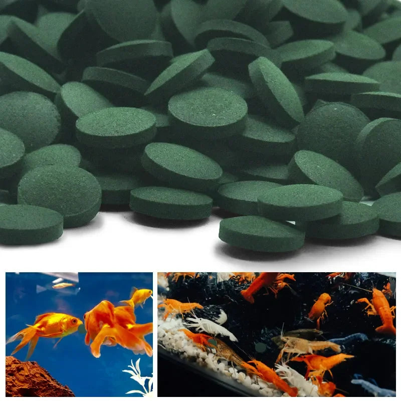 100pcs Spirulina Tablets Enrichment Favorite Pet Food fish crystal red shrimp pet food